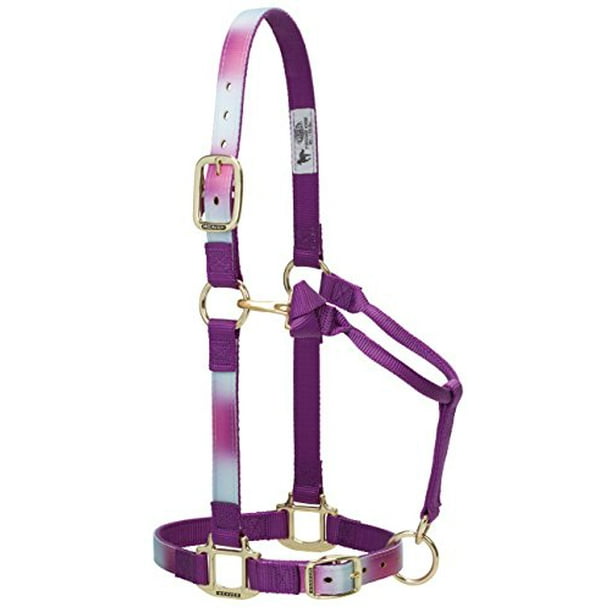 Weaver Leather Adjustable Patterned Nylon Horse Halter Weaver Leather Adjustable Patterned Nylon Horse Halter